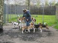 afb_20160430 (20)